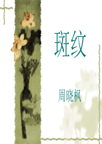 《斑纹》课件