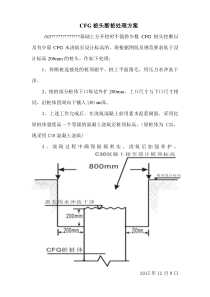 58CFG桩头断桩处理方案