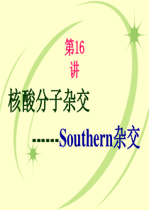 16 Southern杂交技术