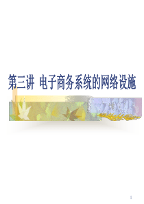 电子商务系统的网络设施