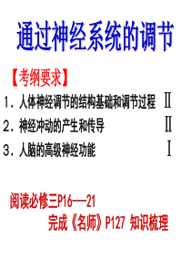 2017高三一轮复习 神经调节资料