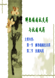 解热镇痛抗炎药与抗痛风药15