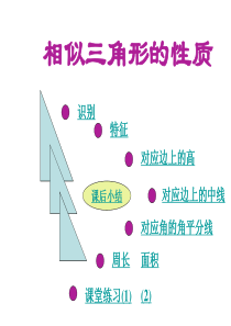 相似三角形的性质