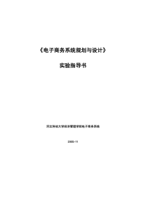 电子商务系统规划与设计(1)