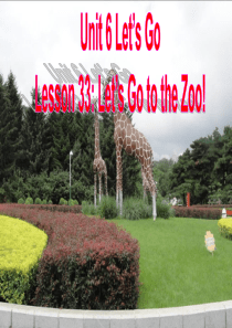 七英上 Lesson 33 Let’s Go to the Zoo! 课件 (共30张PPT)