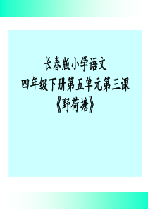 长春版语文四年级下册《野荷塘》课件