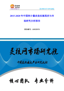 中国热计量行业市场分析与发展趋势研究报告-灵核网