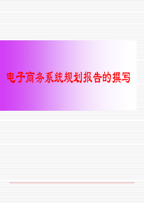 电子商务系统规划报告撰写