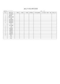 公司财务预算专用表格