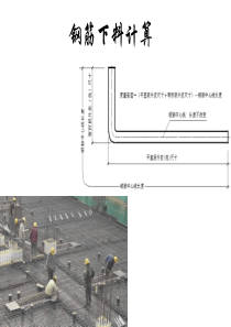 29钢筋下料计算