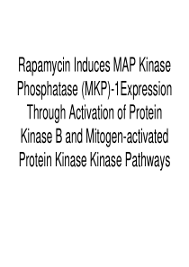 Rapamycin Induces MAP Kinase Phosphatase (MKP)2-