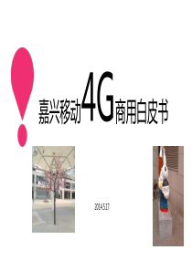 嘉兴移动4G白皮书