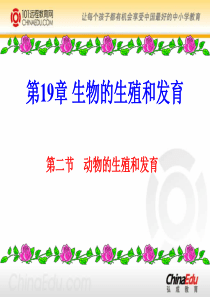 北师大版初中八上19.2动物的生殖和发育ppt课件-昆虫的生殖和发育