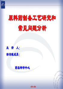 原料药制备工艺研究和常见问题分析PPT课件