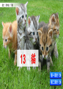 部编版小学语文四年级下册-13猫