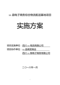 电子商务综合物流项目实施方案