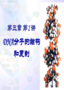 DNA分子的结构与复制(一轮复习)