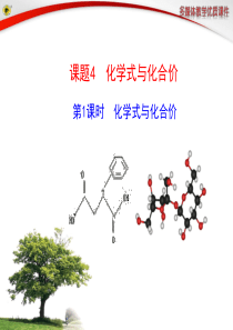 第1课时  化学式与化合价