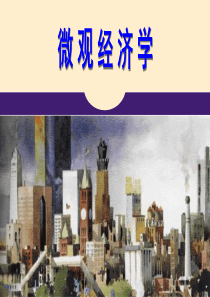 chapter4-供给与需求的市场力量