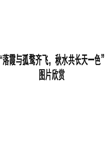 “落霞与孤鹜齐飞,秋水共长天一色”图片欣赏