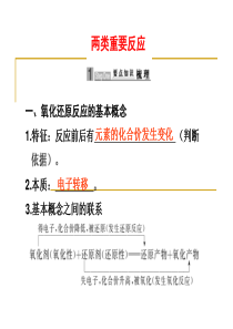 【化学】2010高考二轮复习精品专题课件：两类重要反应