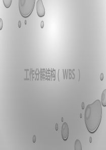 工作分解结构(WBS)