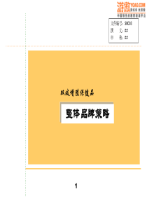 整体品牌规划(PPT21页).