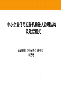 中小企业信用担保机构法人治理结构(精)