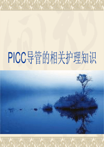 19PICC导管的相关护理