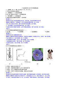 2019年深圳市中考物理试卷解析