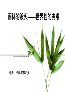 《雨林的毁灭――世界性灾难》正式版