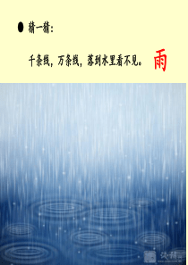 《雨点儿》部编本完整课件