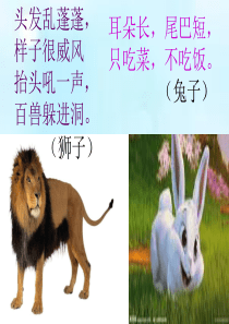 狮子和兔子课件