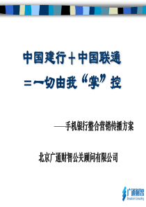 20手机银行整合营销传播方案