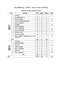 安全生产标准化建筑企业标准