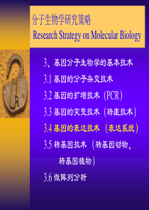 分子生物学研究策略-基因表达技术(10月25日)