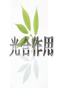 光合作用的概述