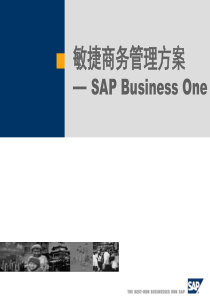 SAP Business One 介绍