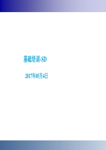 SAP SD模块概览培训