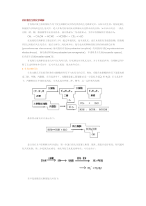 有机物的微生物降解原理