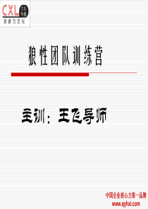 狼性团队训练营