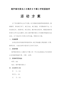 XXX学校联盟教研活动方案