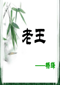 老王(王君老师的课)