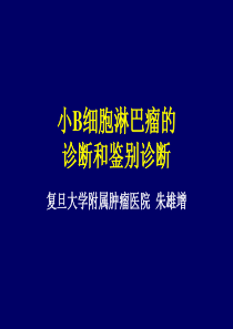 小B细胞淋巴瘤的诊断及鉴别诊断 朱雄增