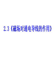 23磁场对通电导线的作用解读