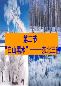 新人教版八年级地理下册--第六章北方地区-第二节白山黑水——东北三省