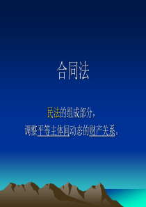 经济法基础--合同法(一)（PPT90页)