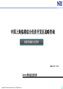 中国上海临港综合经济开发区战略咨询(野村研究所战略咨询)