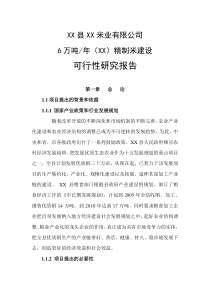 6万吨_年精制米项目可行性研究报告