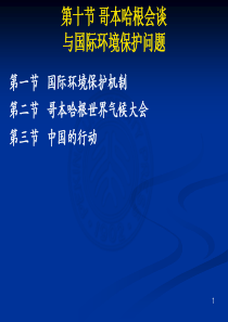 《国际问题与法律》课件10——哥本哈根会谈与国际环境保护问题_